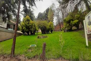 بهار دانشگاه 1399